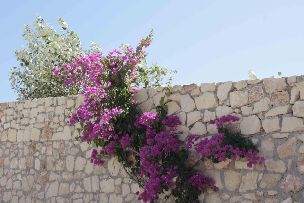 Vila Crete View Marathi  Pokoj fotografie